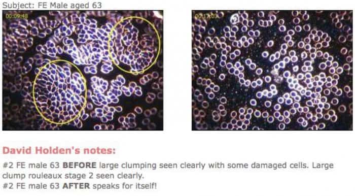 blood quantum calculator