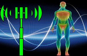 Top 5 areas of the body at risk from EMF