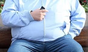 Is electricity making us fat?