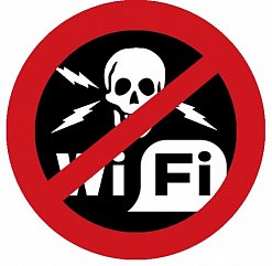 Wi-Fi in schools - destroying our grandchildren