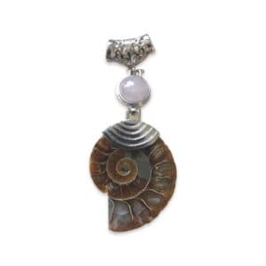 Ammonite Crystal Pendant