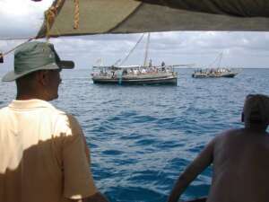 Dhows and dolphins