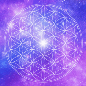 flower of life scalar energy