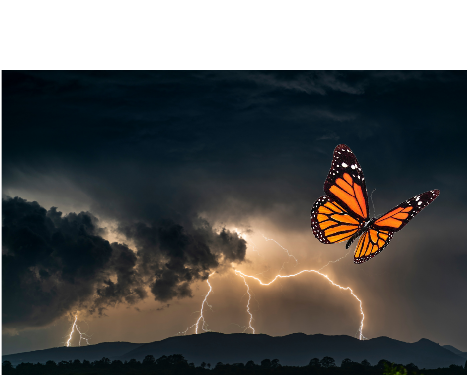 butterfly in the storm