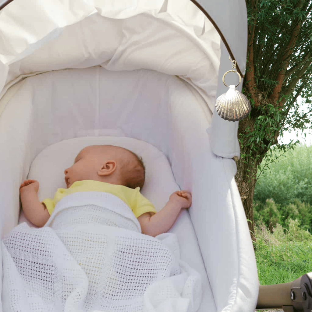 Chi-shell in newborn's pram